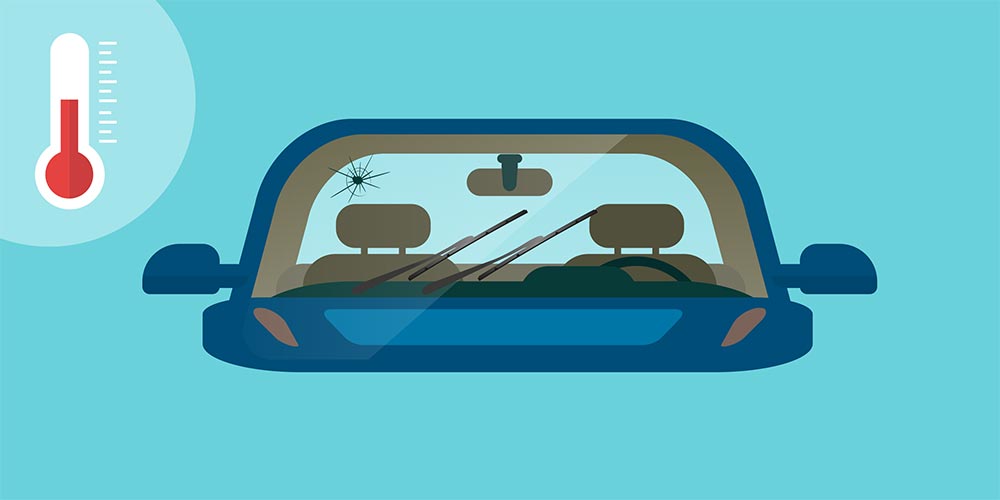 Motorway Windscreens